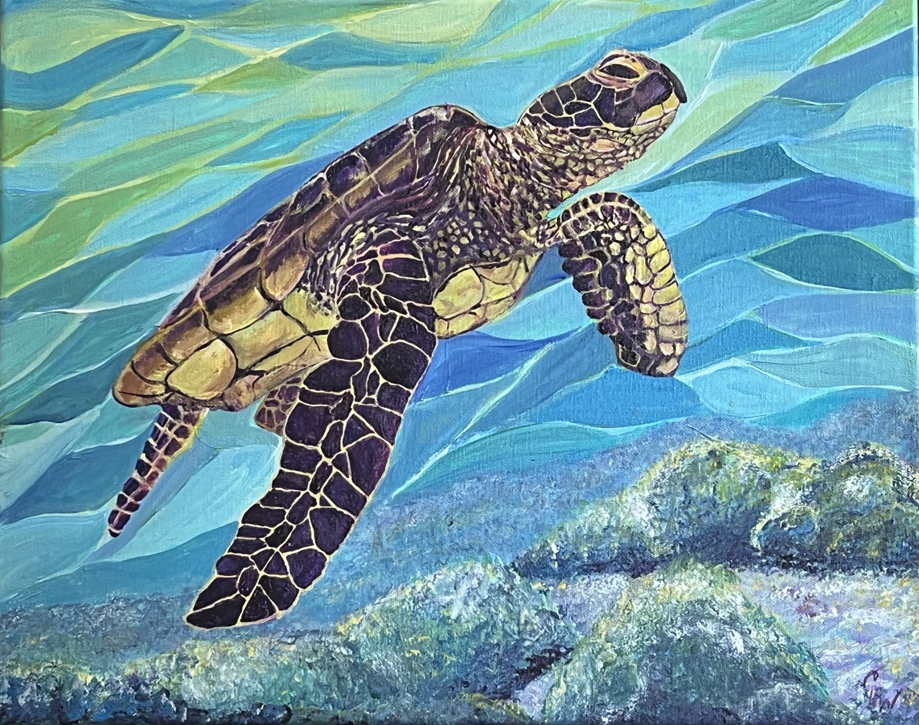 incomplete sea turtle, acrylic Cheryl White, Artist, Blogger, Paintonmywalls,