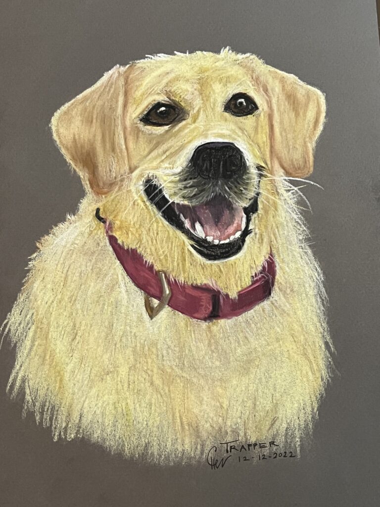 Pet portrait