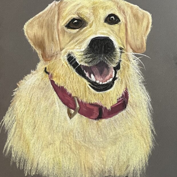 Pet portrait