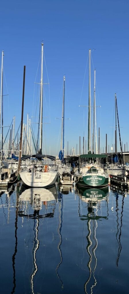 Boats on Lake Grapevine photo