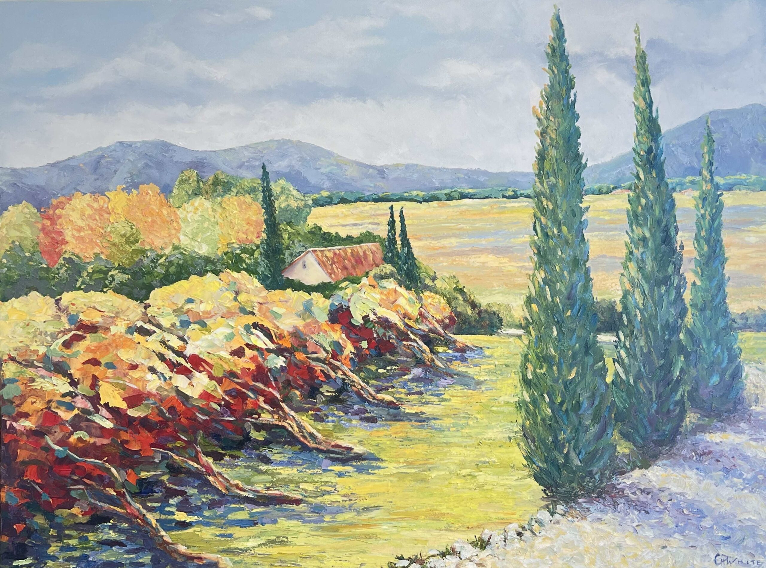 Light On The Vines, Roussillon, France, Oil On Canvas
